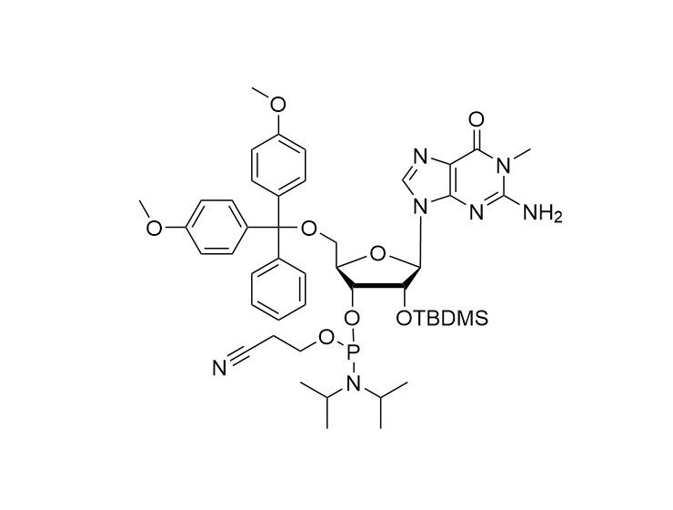 1-Methy-rG-CE-Phosphoramidite