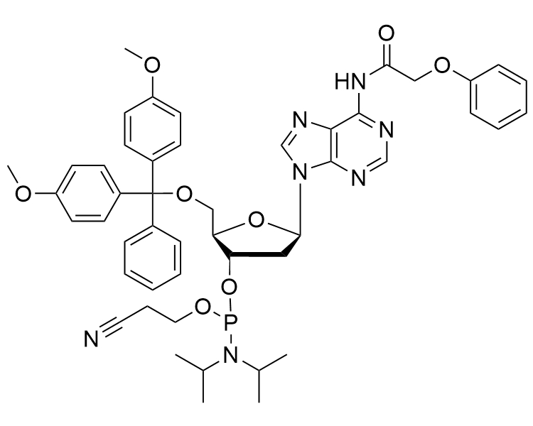 DMT-dA(PAc)-CE-Phosphoramidite