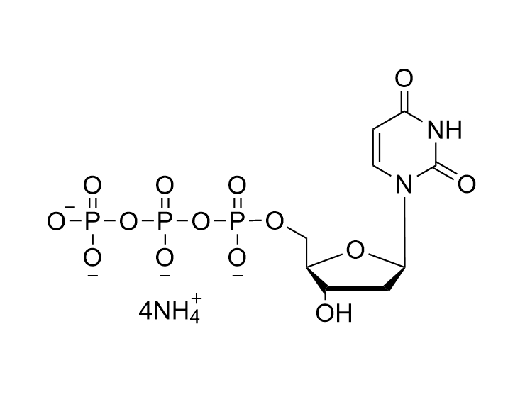 dUTP·4NH4 100mM solution