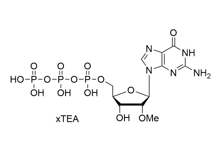 2'-OMe-GMP·TEA