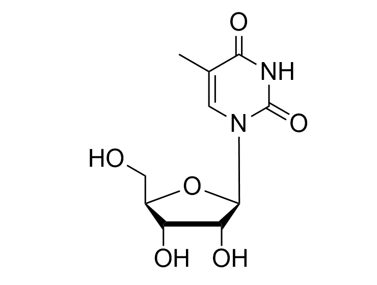 5-Me-rU