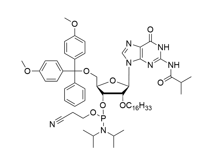 2'-O-C16-G(ibu) Phosphoramidite