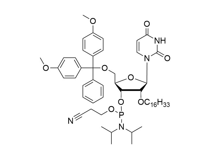 2'-O-C16-U Phosphoramidite