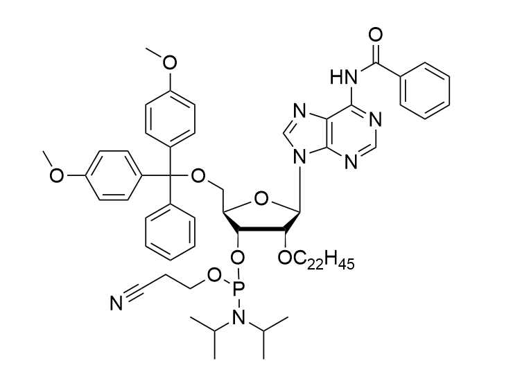 2'-O-C22-A(Bz) Phosphoramidite