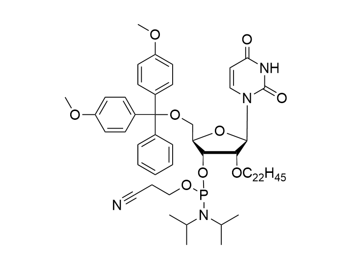 2'-O-C22-U Phosphoramidite