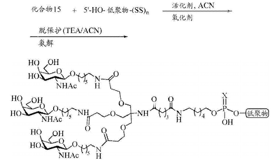CN109661233A 中关于 THA8 单体缀合 Oligo 的示例