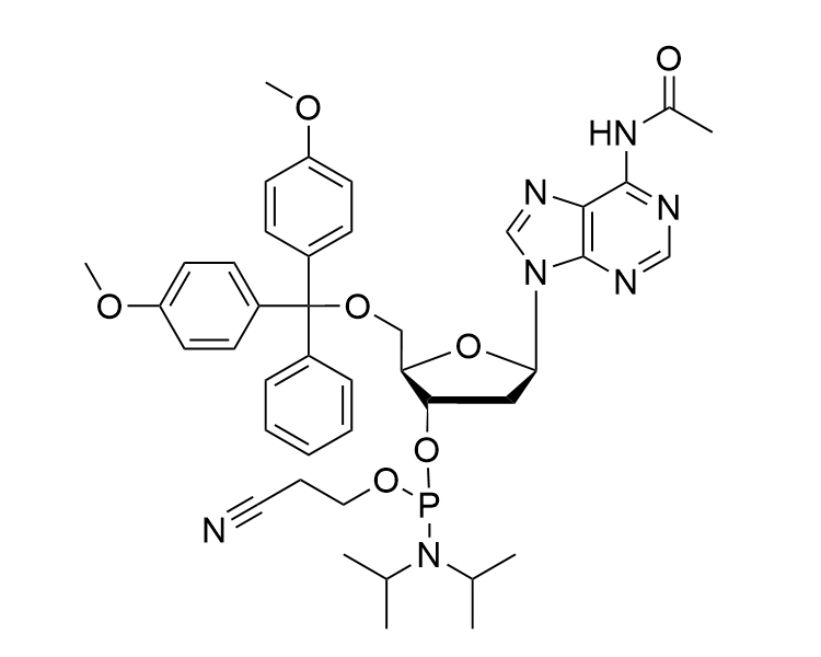 DMT-dA(Ac)-CE-Phosphoramidite