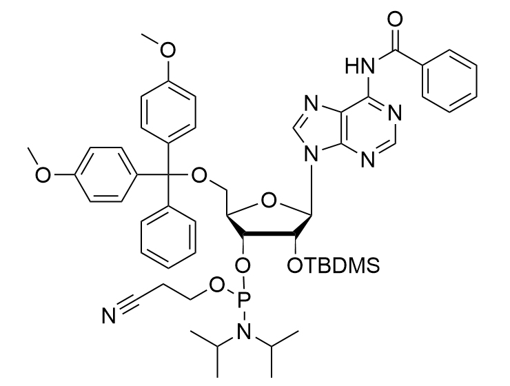 DMT-2'-O-TBDMS-rA(Bz)-CE-Phosphoramidite