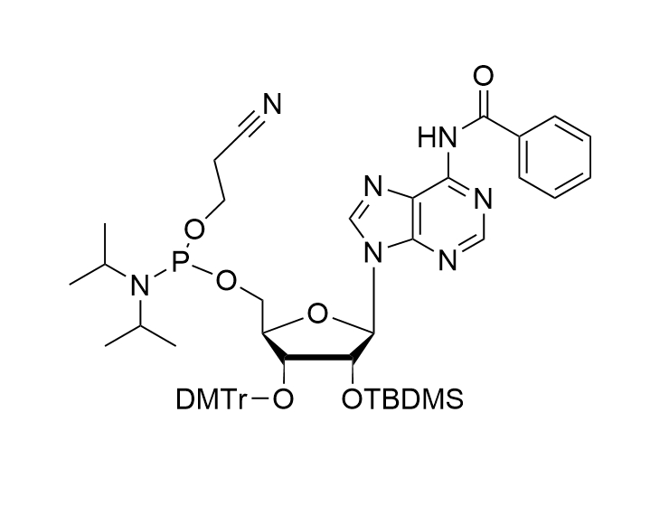 2'-O-TBDMS-A(Bz)-CE reverse Phosphoramidite