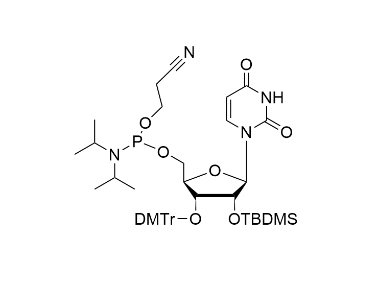 2'-O-TBDMS-U-CE reverse Phosphoramidite