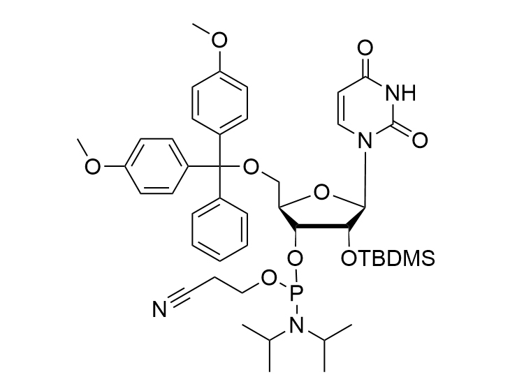 DMT-2'-O-TBDMS-rU-CE-Phosphoramidite