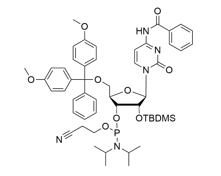 DMT-2'-O-TBDMS-rC(Bz)-CE-Phosphoramidite