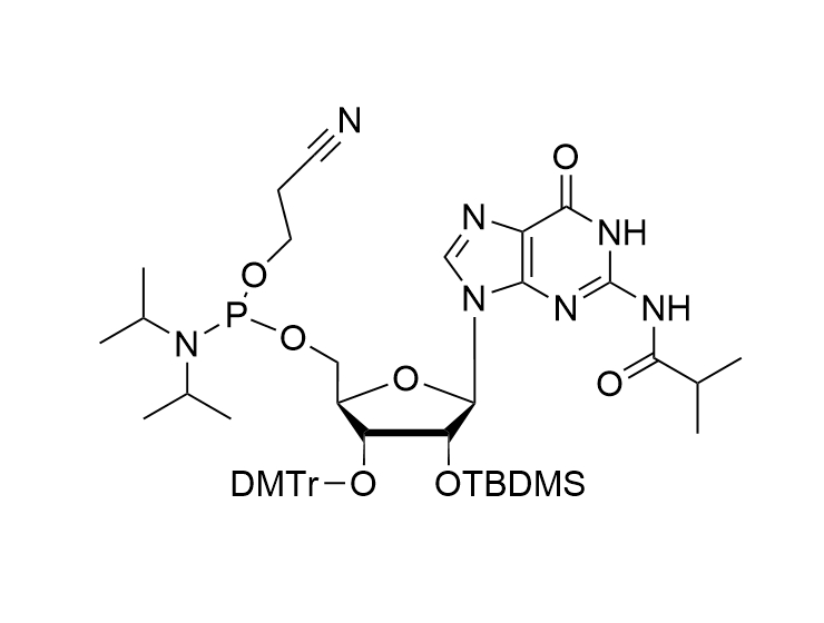 2'-O-TBDMS-G(iBu)-CE reverse Phosphoramidite