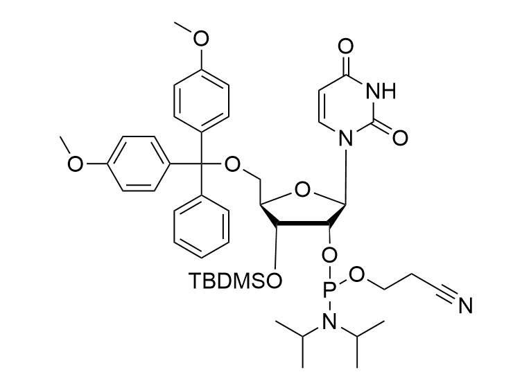 3'-O-TBDMS-rU-CE-Phosphoramidite