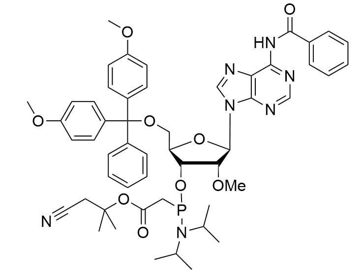 2'-OMe-A(Bz)-PACE-CE-Phosphoramidite