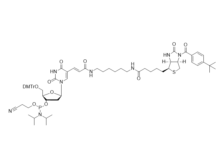 Biotin-dT CE-Phosphoramidite