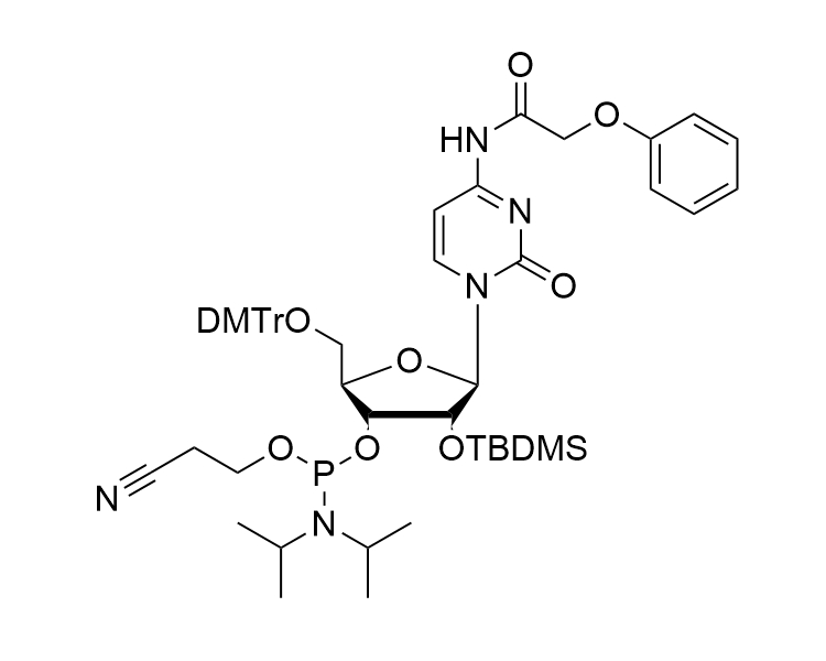 DMT-2'-O-TBDMS-rC(PAc)-CE-Phosphoramidite