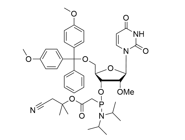 2'-OMe-U-PACE-CE-Phosphoramidite