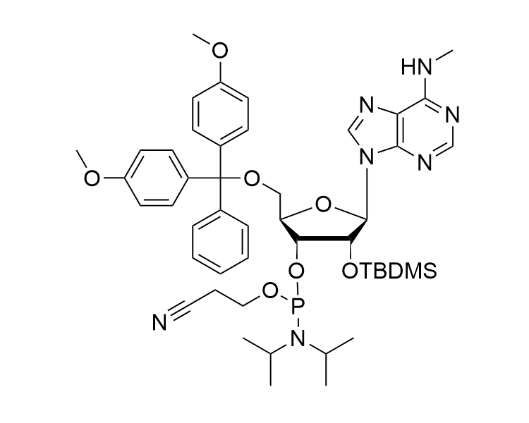 N6-Me-rA-CE-Phosphoramidite