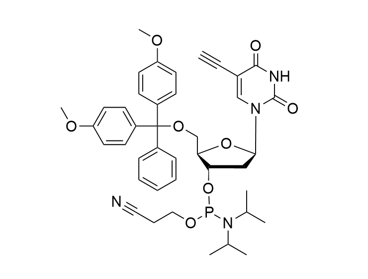 EdU Phosphoramidite