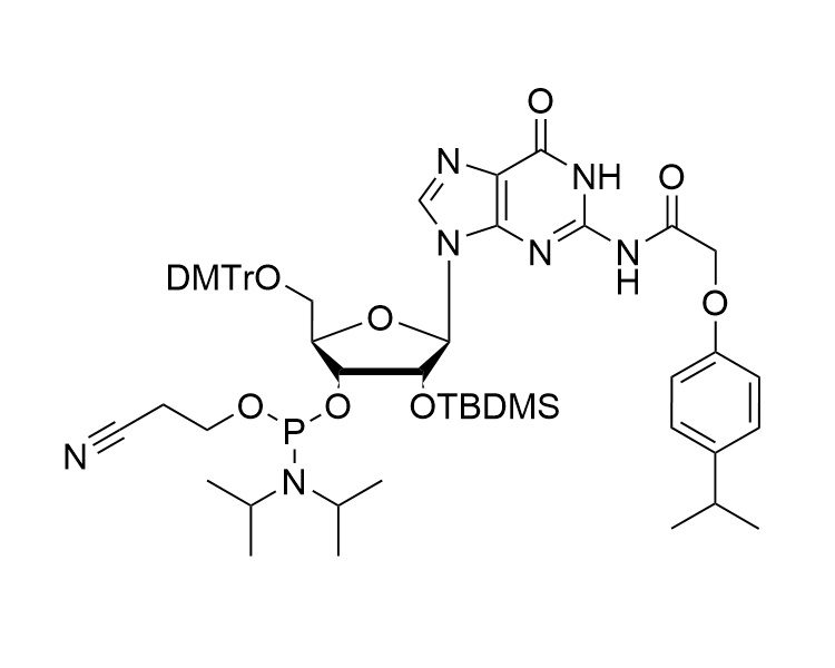 rG(iPr-Pac)-CE-Phosphoramidite