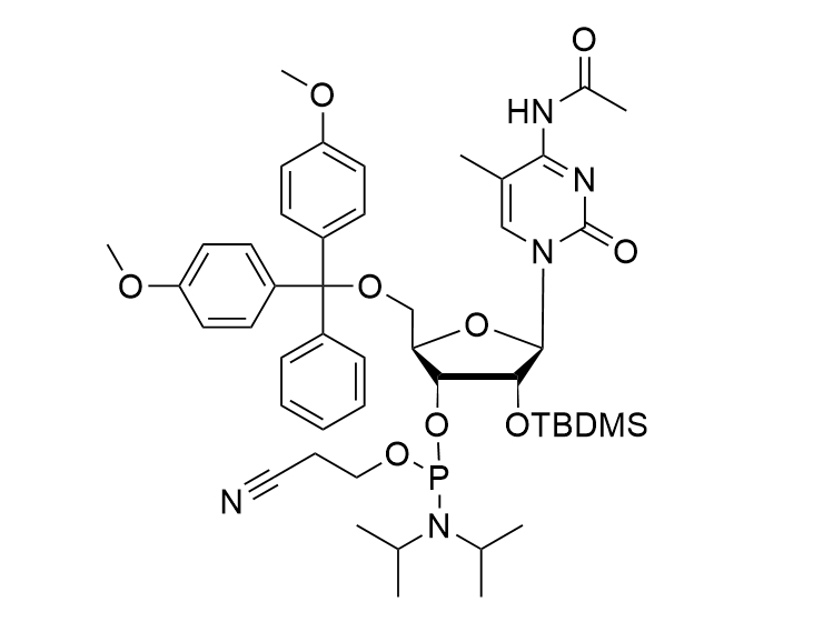 5-Me-rC(Ac) Phosphoramidite