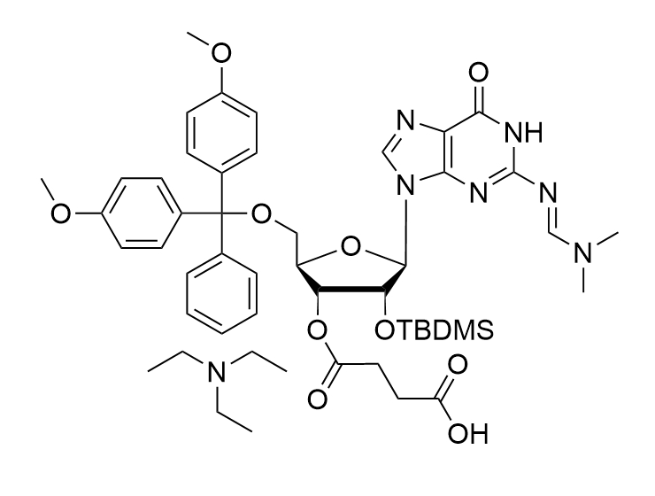 rG(DMF)-3'-succinate, TEA  salt