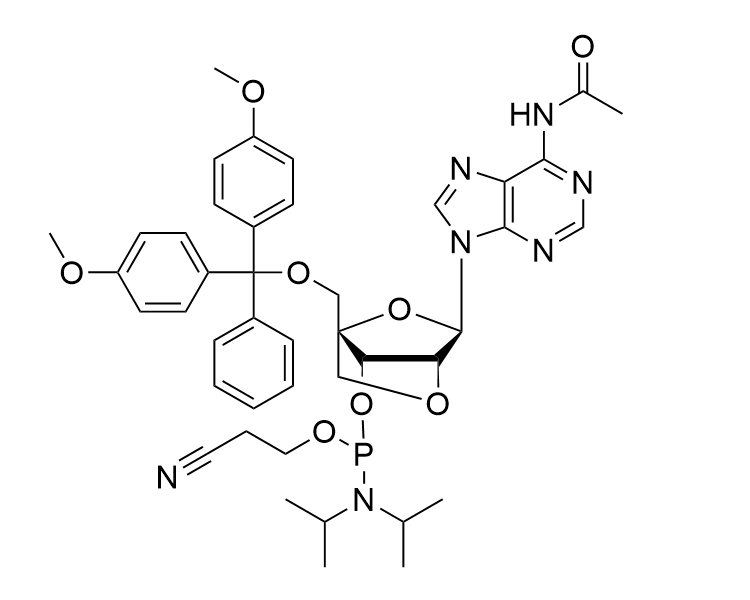 LNA-A(Ac)-Phosphoramidite