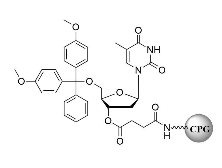 DMT-dT-CPG