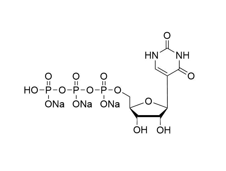 Pseudo-UTP.3Na 100mM solution