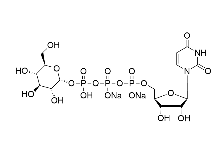 UDP-G