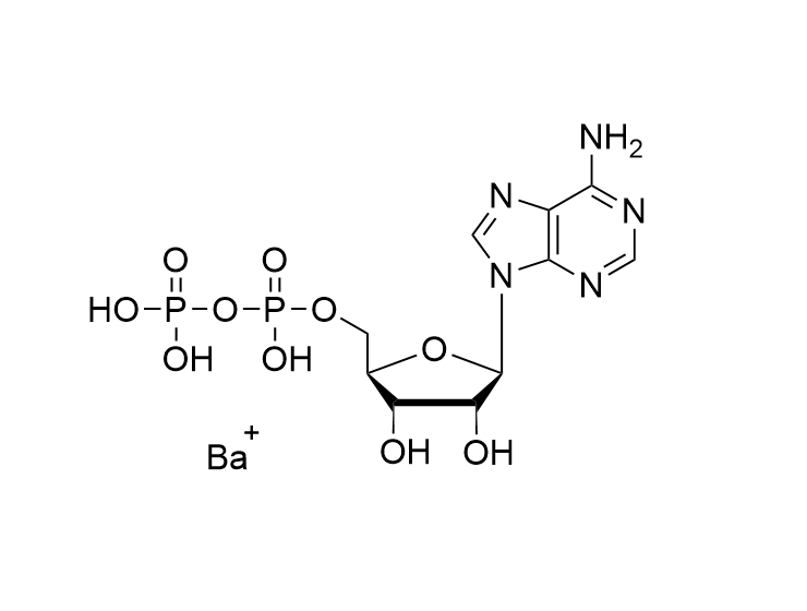 ADP.Ba