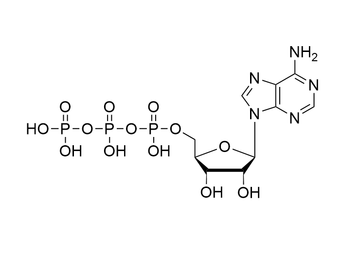 ATP·Free acid