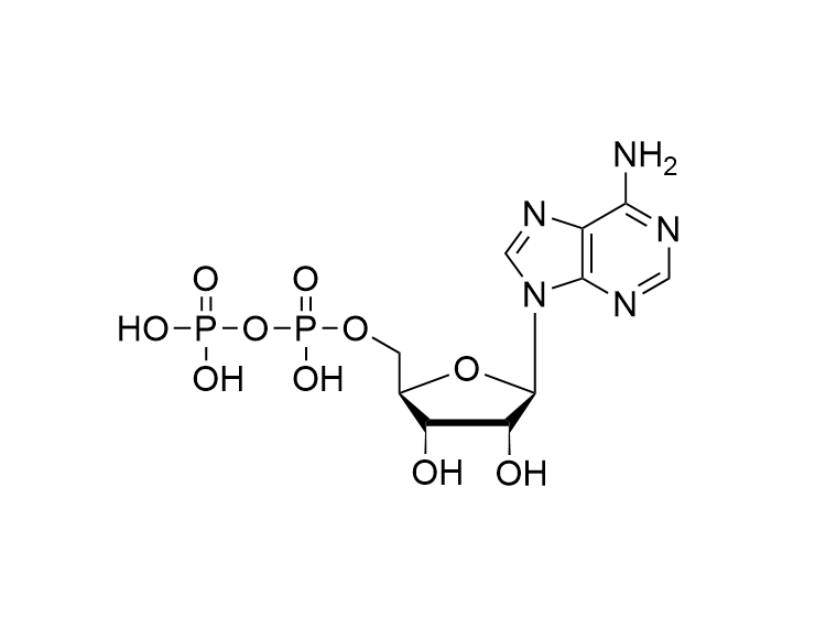 ADP·Free acid