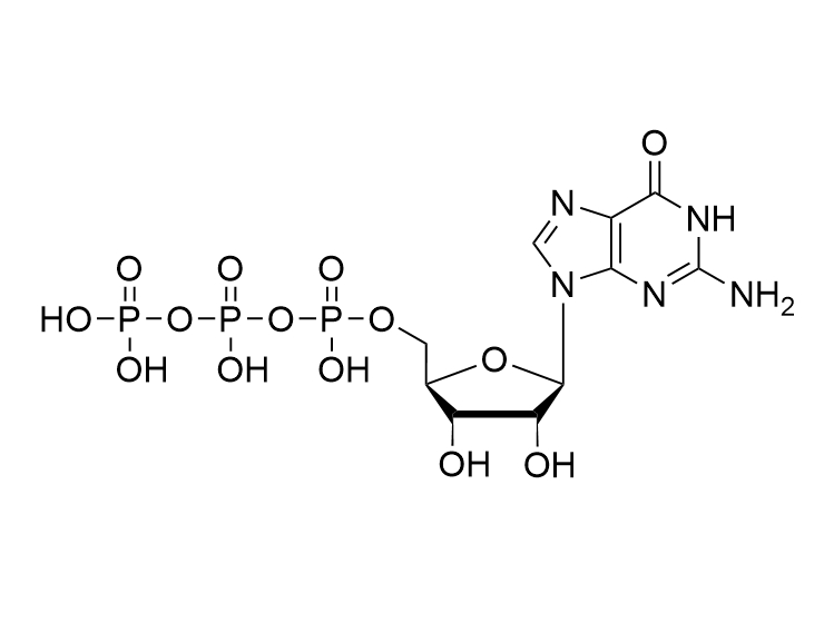 GTP·Free acid