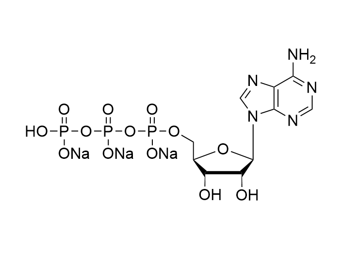ATP·3Na, 100mM solution