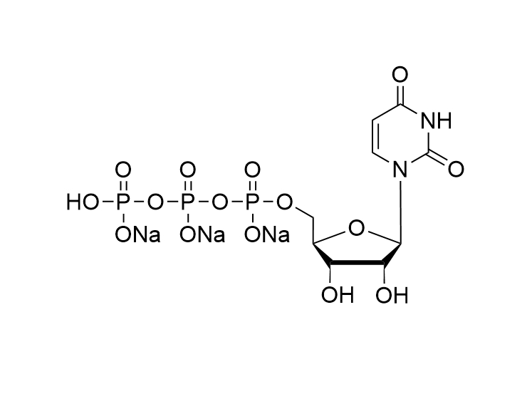 UTP·3Na, 100mM solution