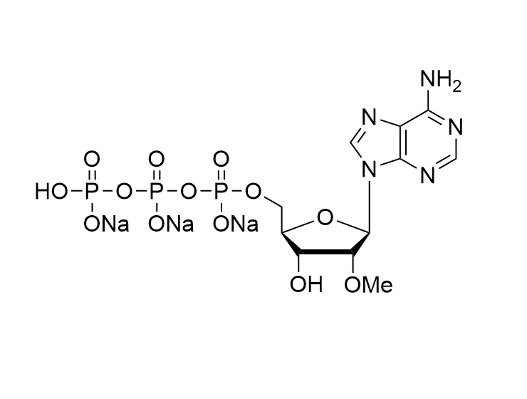 2'-OMe-ATP, 100mM solution