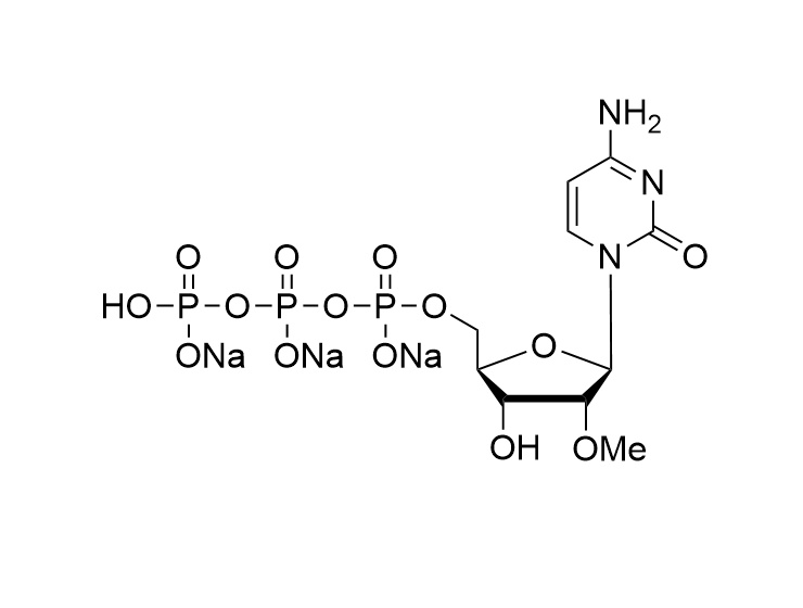 2'-OMe-CTP, 100mM solution