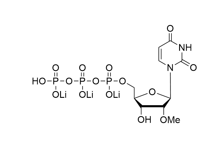 2'-OMe-UTP·Li3, 100mM solution