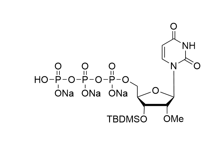 3'-O-TBDMS-2'-OMe-UTP
