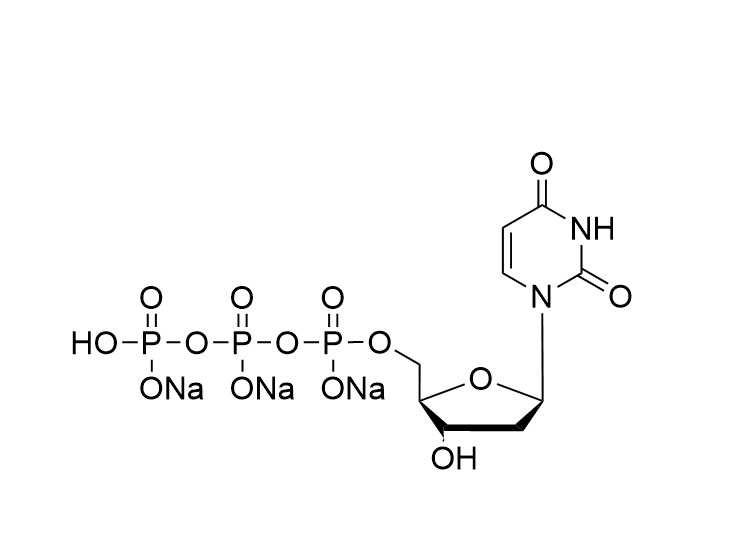 dUTP 100mM solution