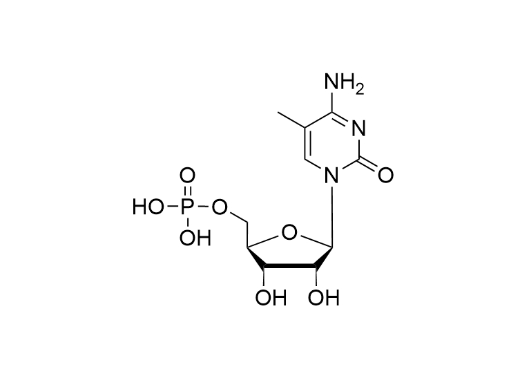 5-Me-CMP