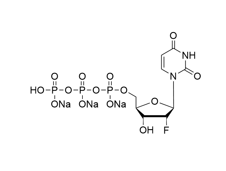 2'-F-2'-dUTP·Na3, 100mM solution