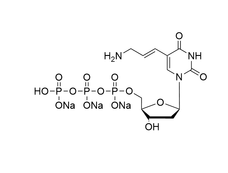 5-aa-2'-dUTP
