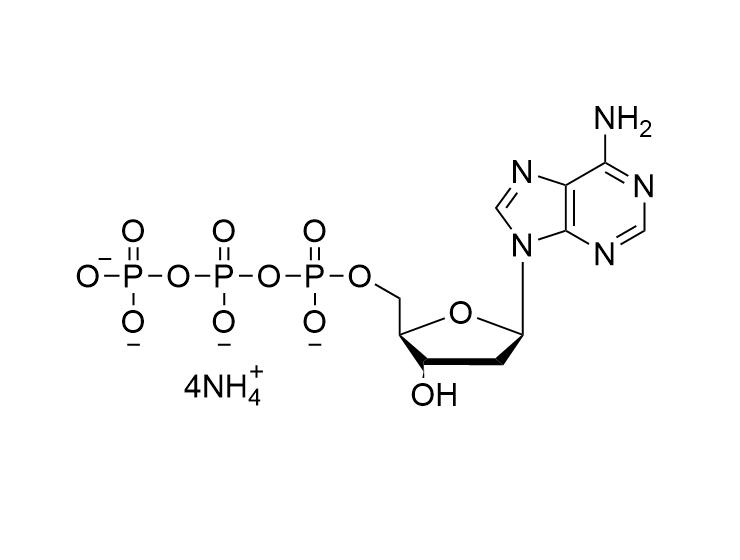 dATP·4NH4 100mM solution