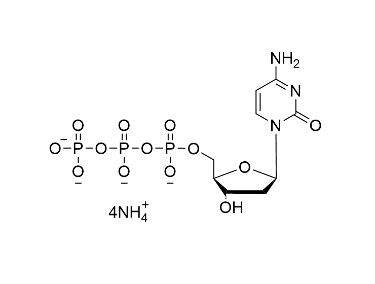dCTP·4NH4 100mM solution