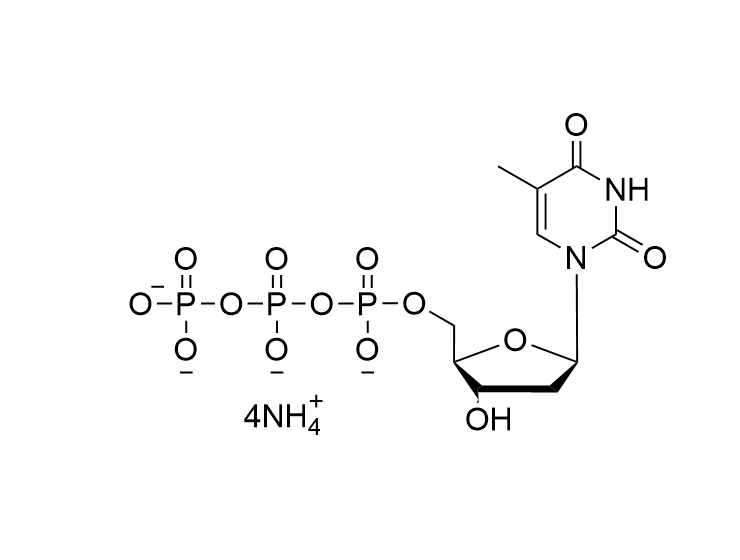 dTTP·4NH4 100mM solution