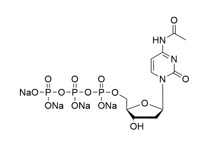 N4-Ac-dCTP·Na4, 10mM solution