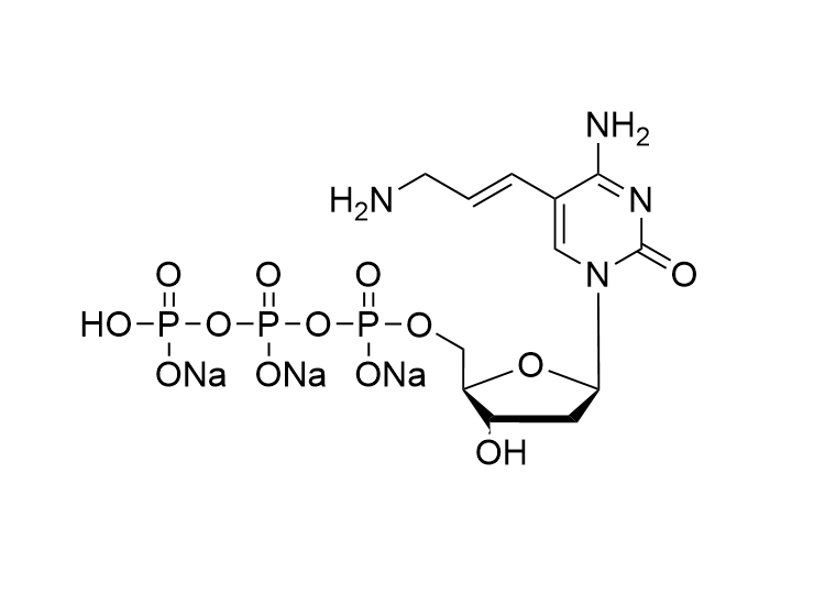 5-aa-2'-dCTP.3Na, 100mM solution